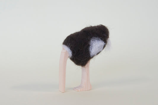Ostrich - head in sand