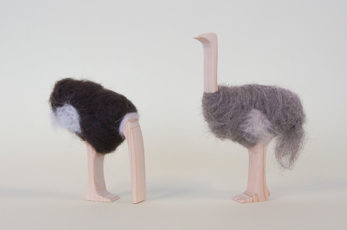 Ostrich - head in sand